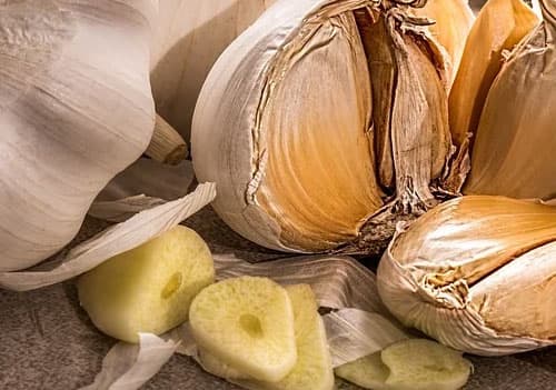 콩팥에 좋은 음식 마늘
