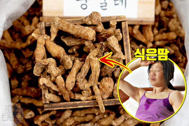 둥굴레 효능,땀 많이 흘릴때 좋은 음식, 열이 많은 사람에게 좋은 음식, 땀 많이 흘리는 사람, 식은땀, 다한증에 좋은 음식, 건강 팁줌 매일꿀정보