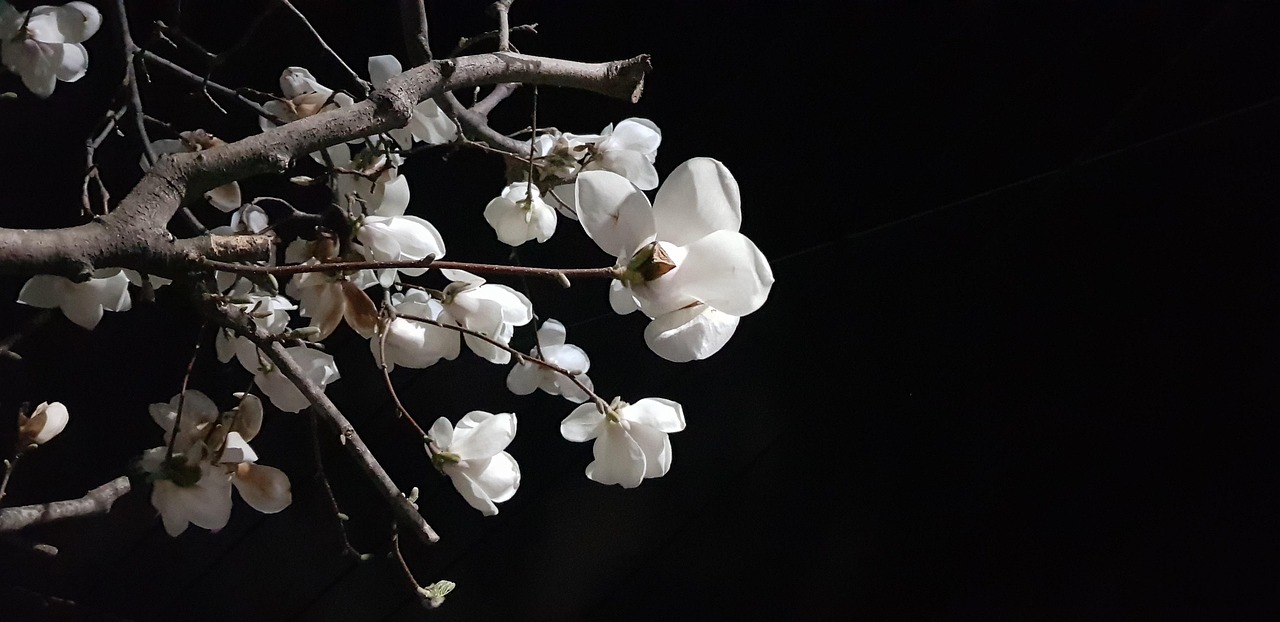 화이트데이 선물 추천