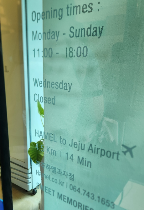 제주 하멜 치즈케이크