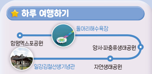 함평 나비대축제