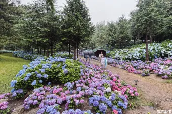 보성 가볼만한곳 베스트10 현지인 추천 필수코스_23
