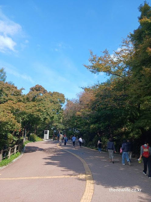서울 단풍명소 남산 둘레길 걷기 코스 풍경