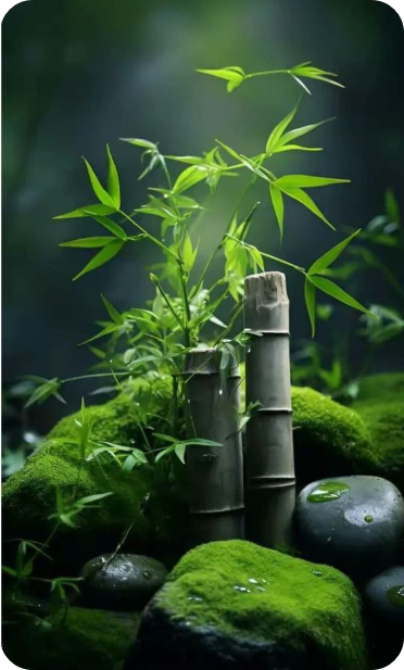 자기 대화 훈련 – 내 마음과 친해지는 법 : 코시팅(KST)