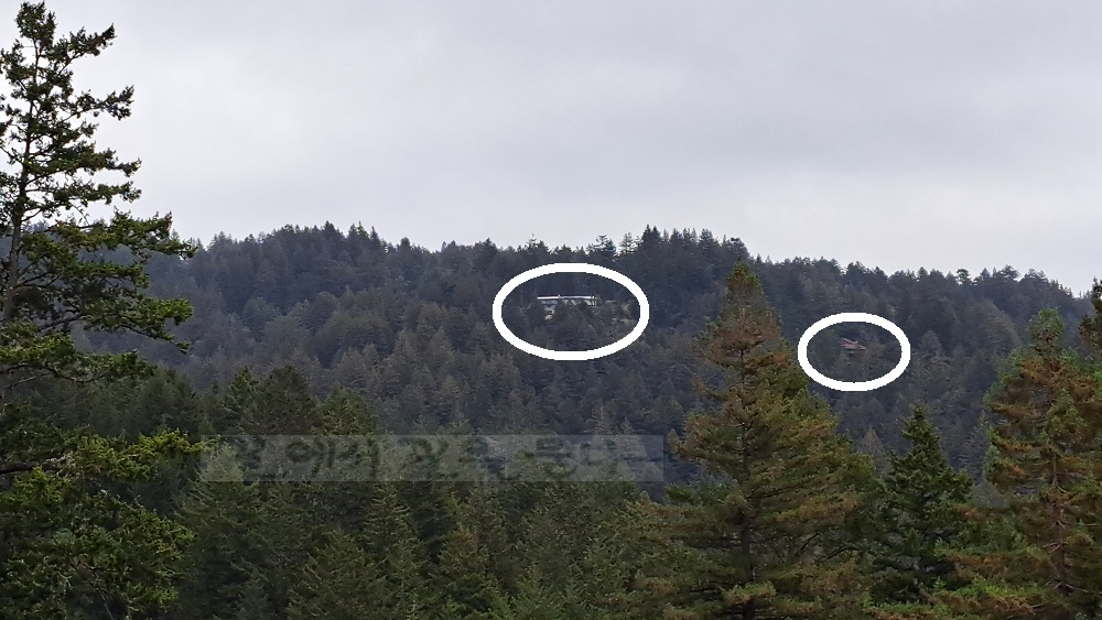 Purisima Creek Redwoods Open Space Preserve