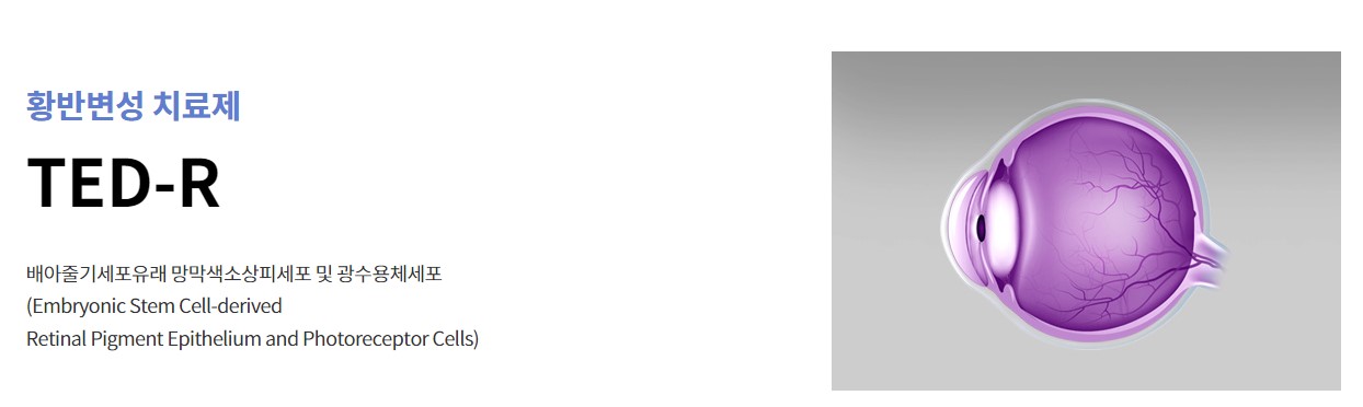 에스바이오메딕스 기업정보