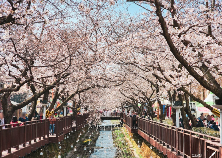 진해 군항제