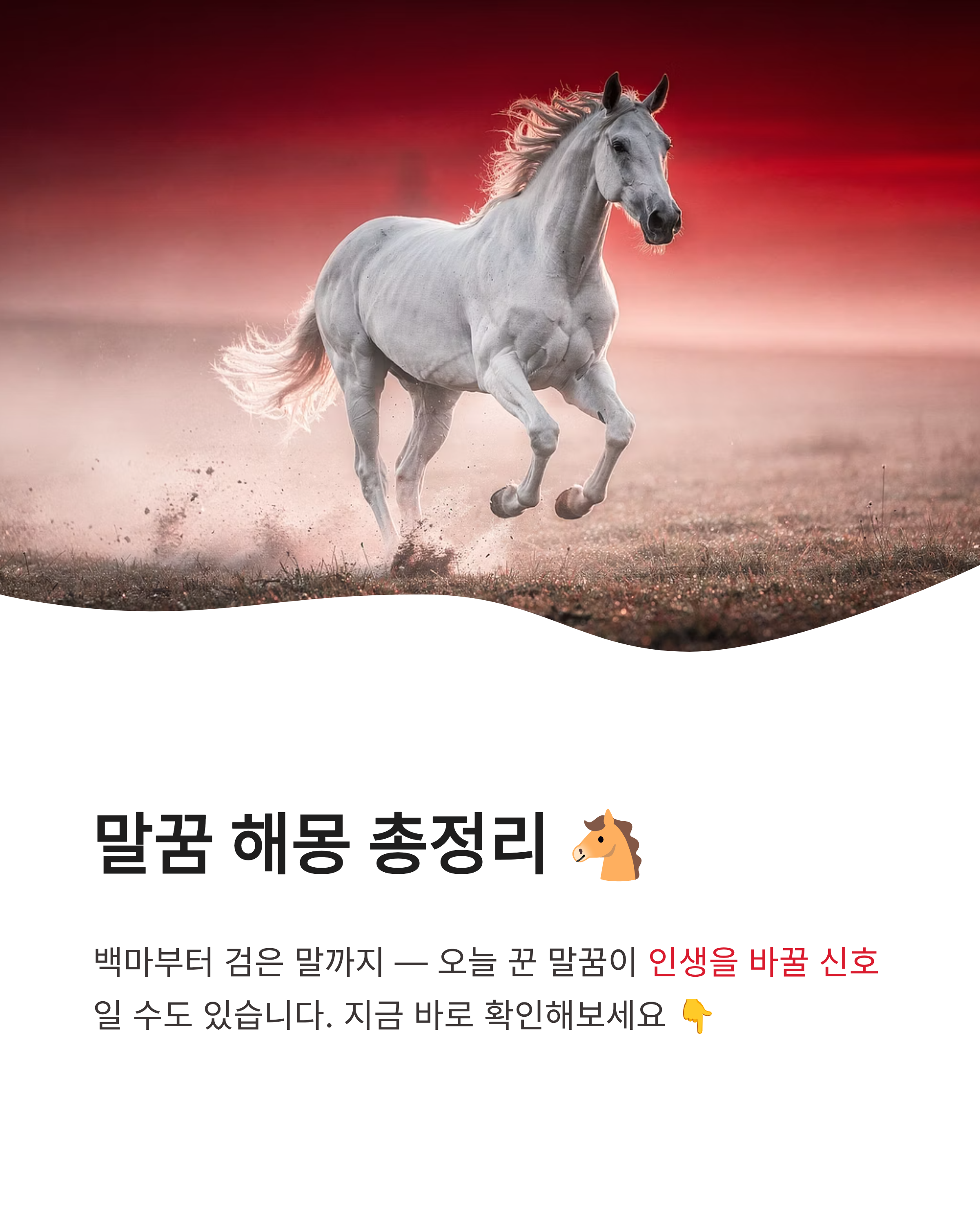말꿈 해몽 상황별 총정리! 백마 타는 꿈부터 검은 말까지 운세 대박 터지는 신호일까?