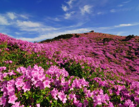 5월 국내여행지 베스트