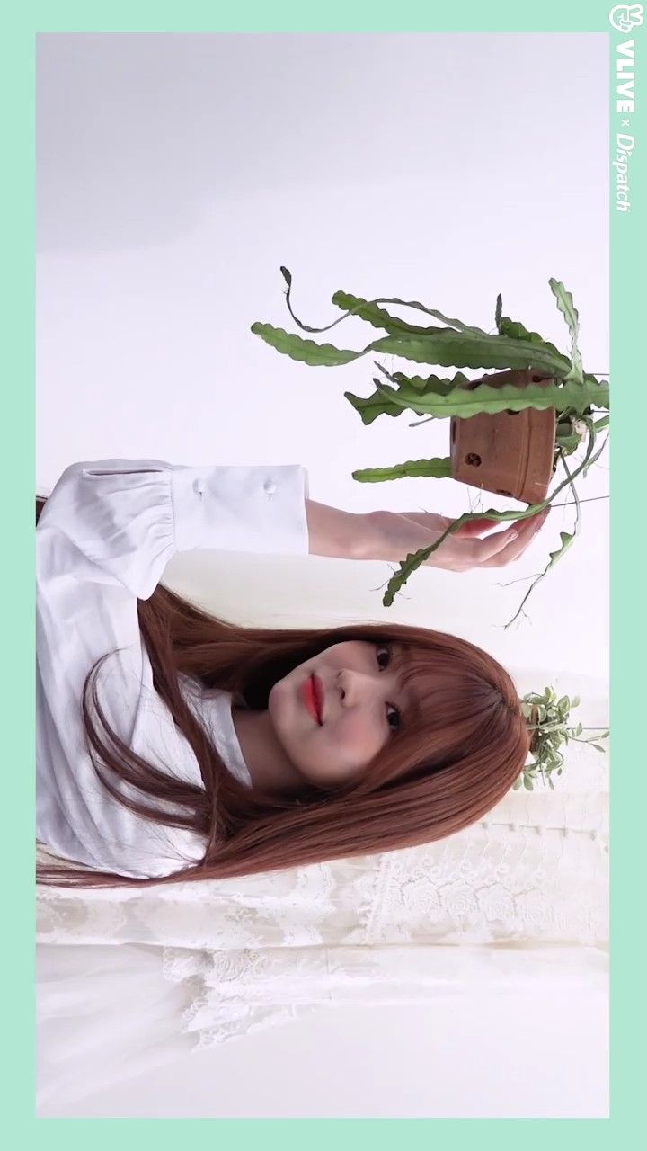 아이즈원 김민주 최애사진