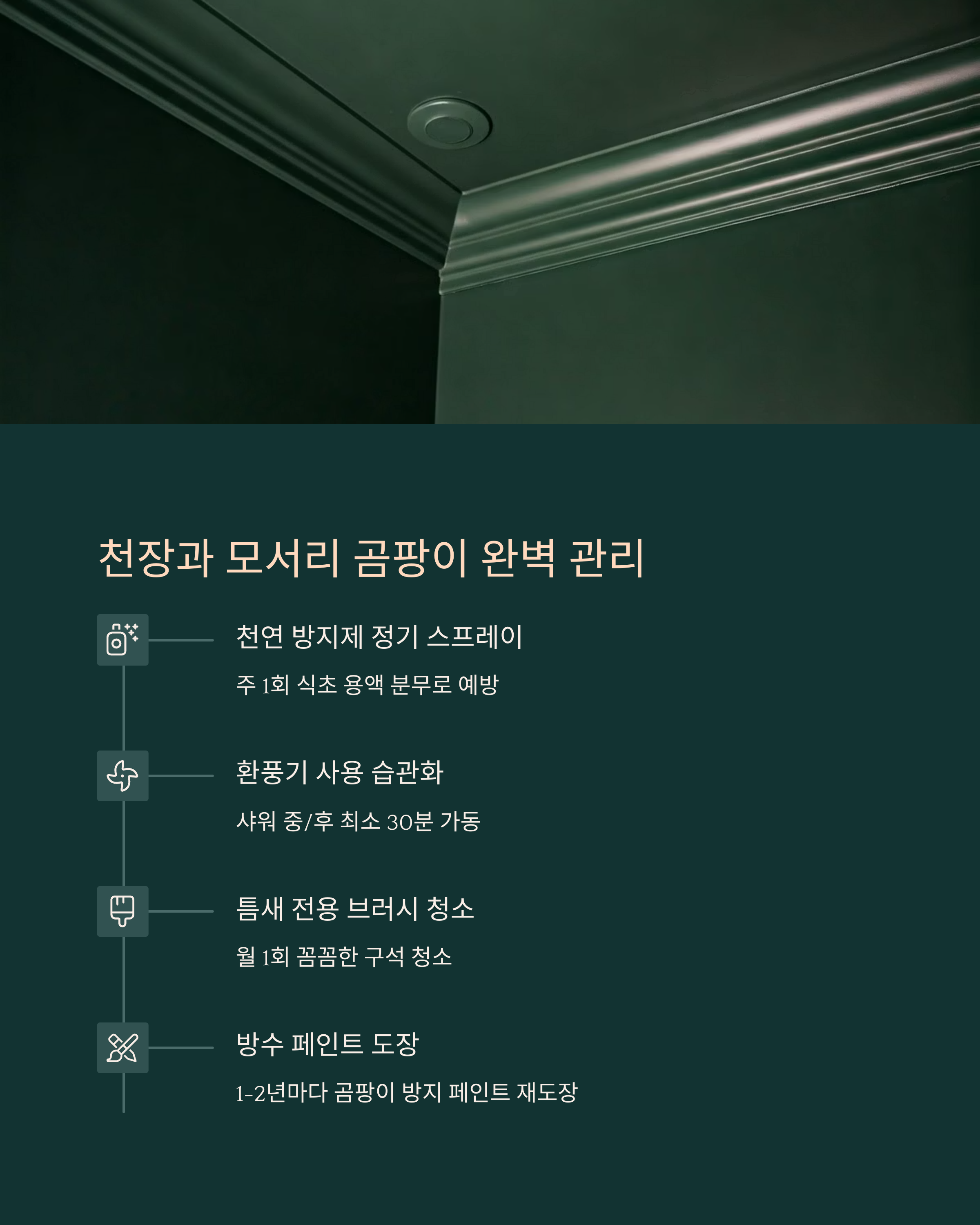 욕실 천장과 모서리 곰팡이 완벽관리