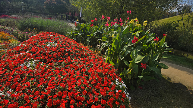 2025 순천만 국가정원 순천여행 맛집 현지인 추천 맛집 순천만 숙박
