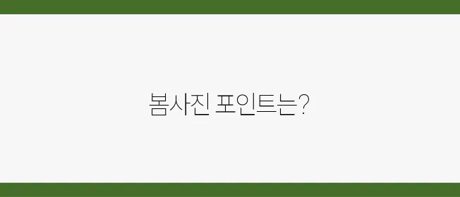 여행 사진 꿀팁 모음, 봄여행에 딱!