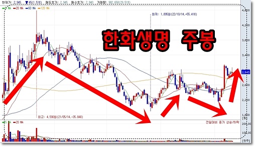 한화생명 주봉
