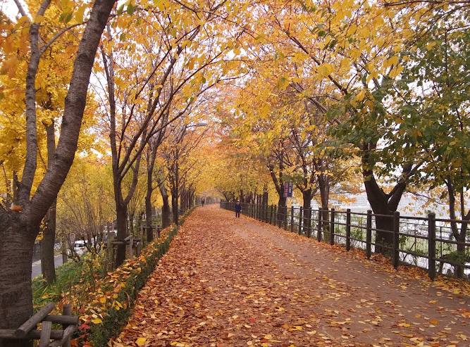 송정제방길