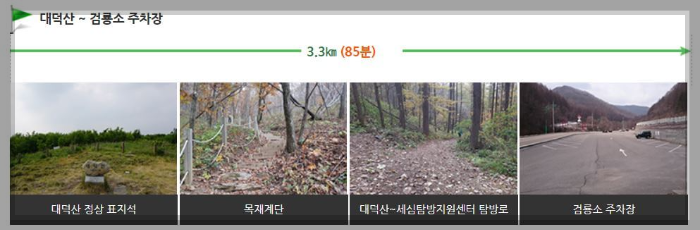태백산 등산코스 금대봉 코스