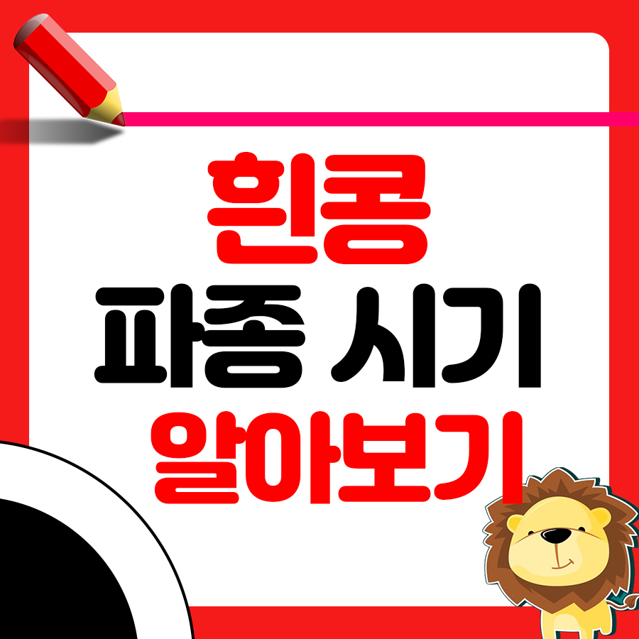 흰콩 파종시기와 거름 주는 방법 알아보기 1