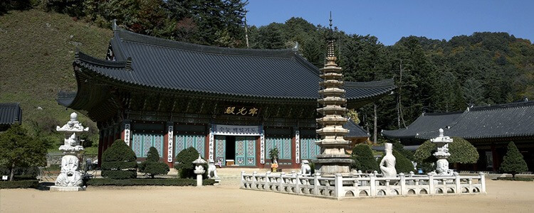 2025/2026 휘닉스파크 평창 스키장 시즌패스 완벽 가이드