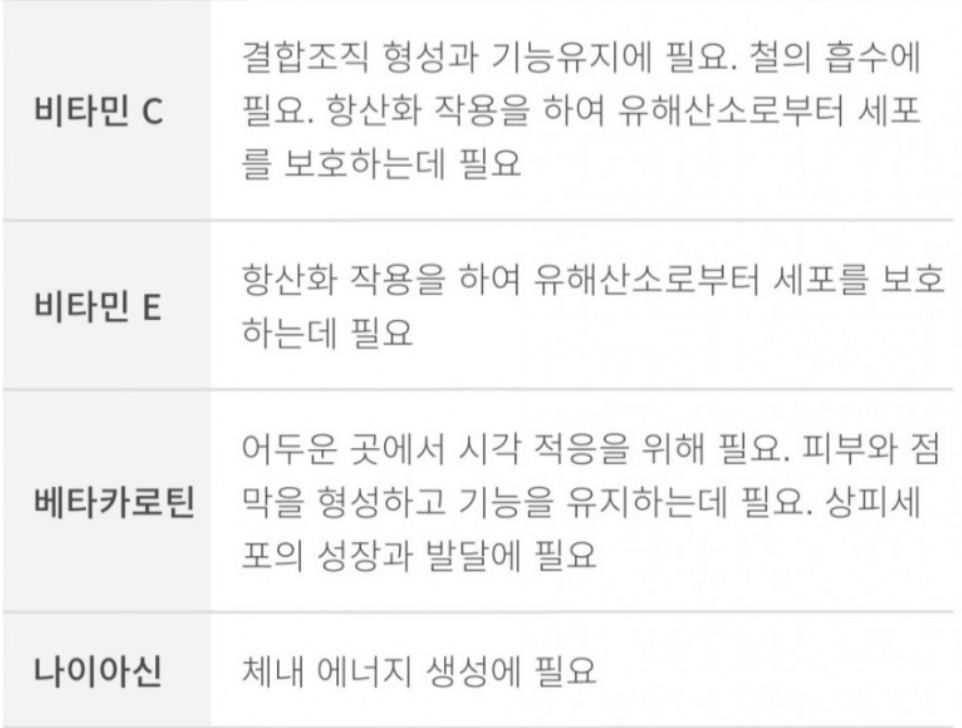 오쏘몰 이뮨 멀티비타민의 성분