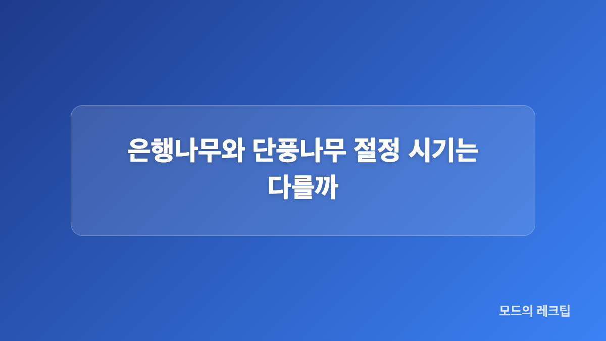 단풍 절정 예측일은 어떻게 읽어야 할까