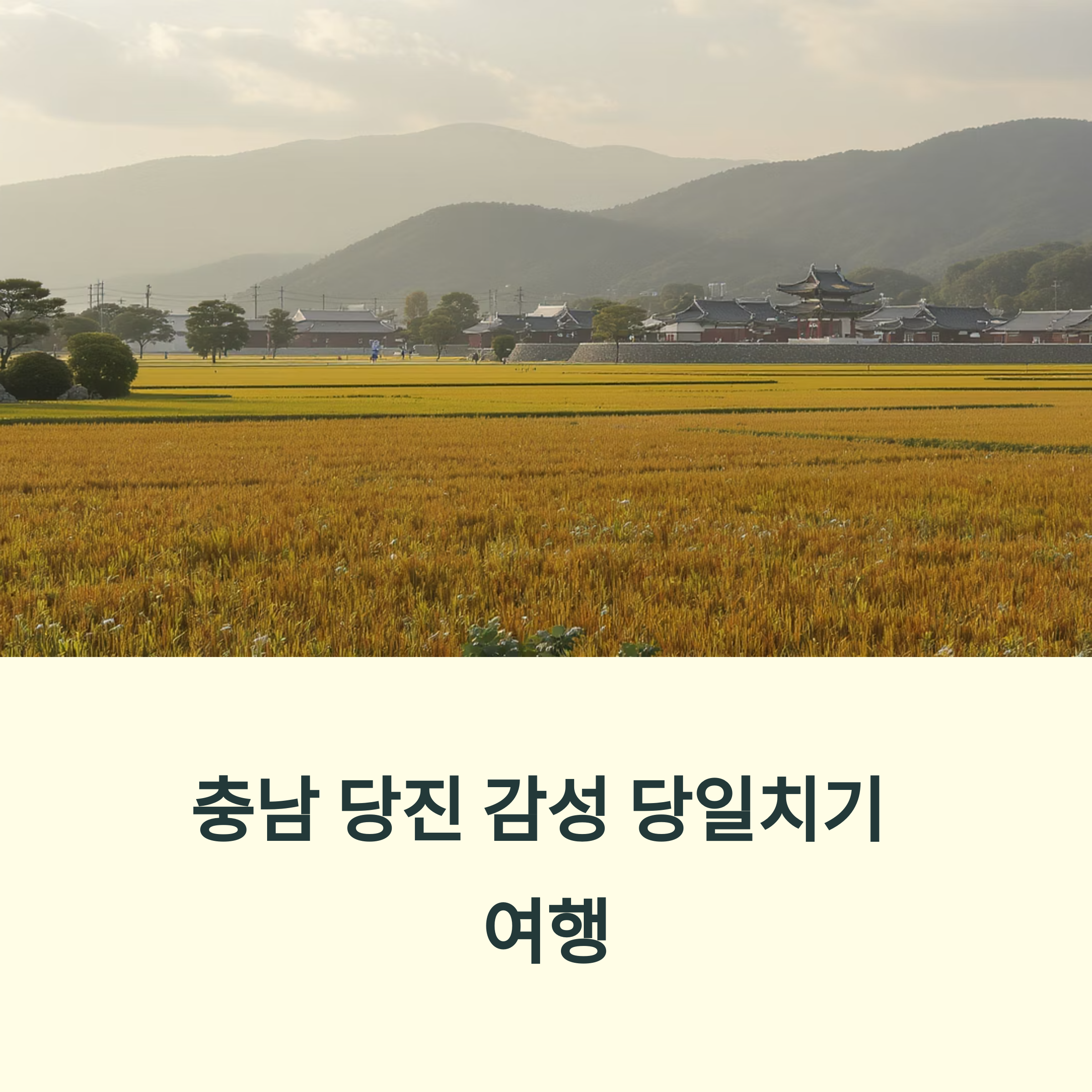 충남 당진 감성 당일치기