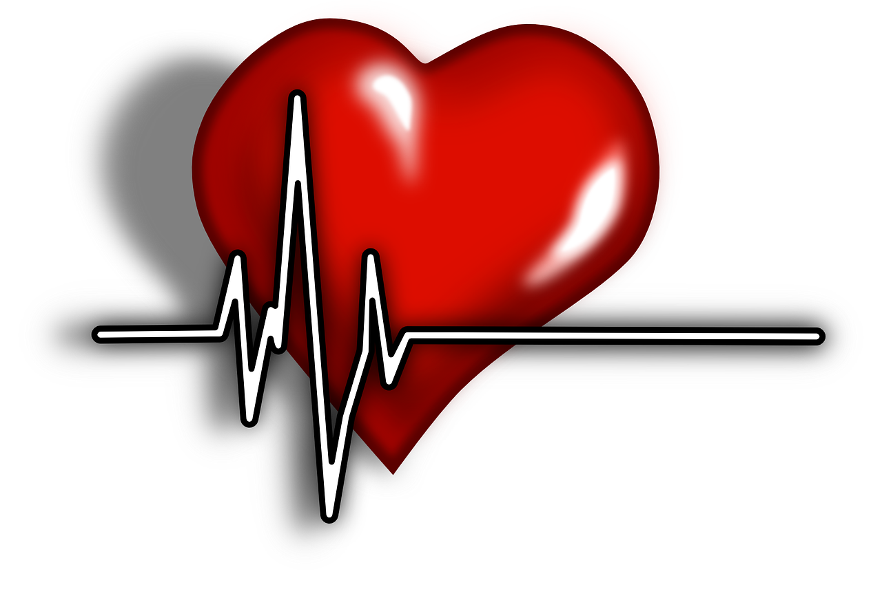 심장박동을 형상화한 그림
