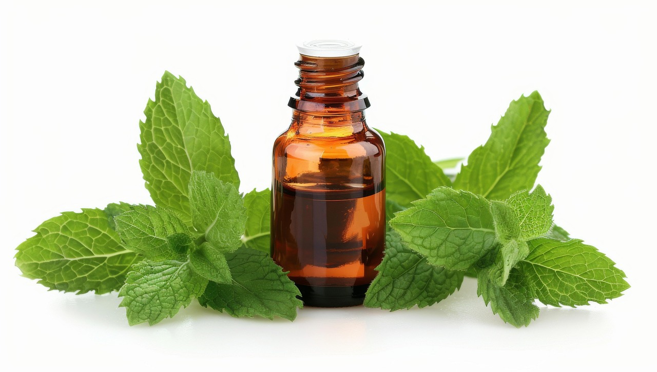 스킨 브러싱(Skin Brushing)&nbsp;&ndash; 피부 각질 제거와 림프 순환 효과