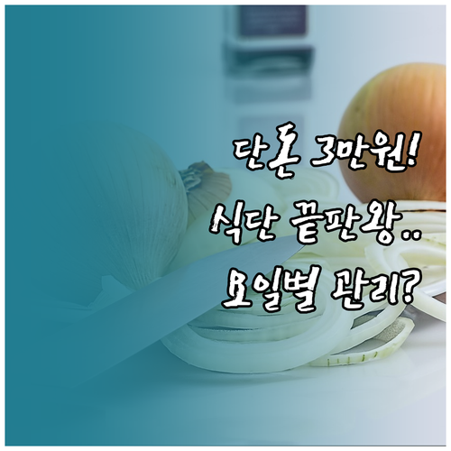 초저가 3만원 다이어트 식단 구성과 ..