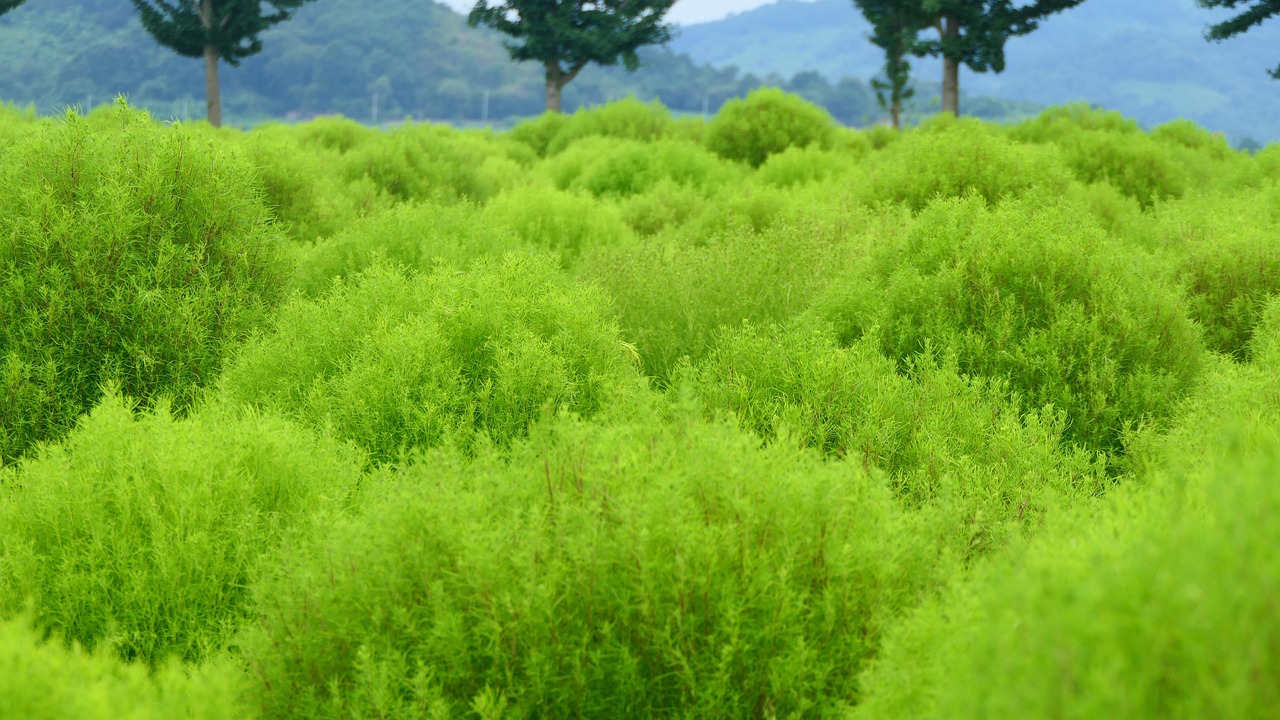 2025 연천 맛집과 가볼만한곳 총정리