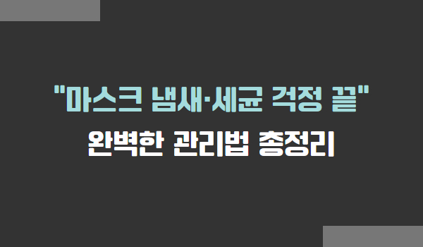 마스크 냄새와 세균 완벽한 관리법 총정리