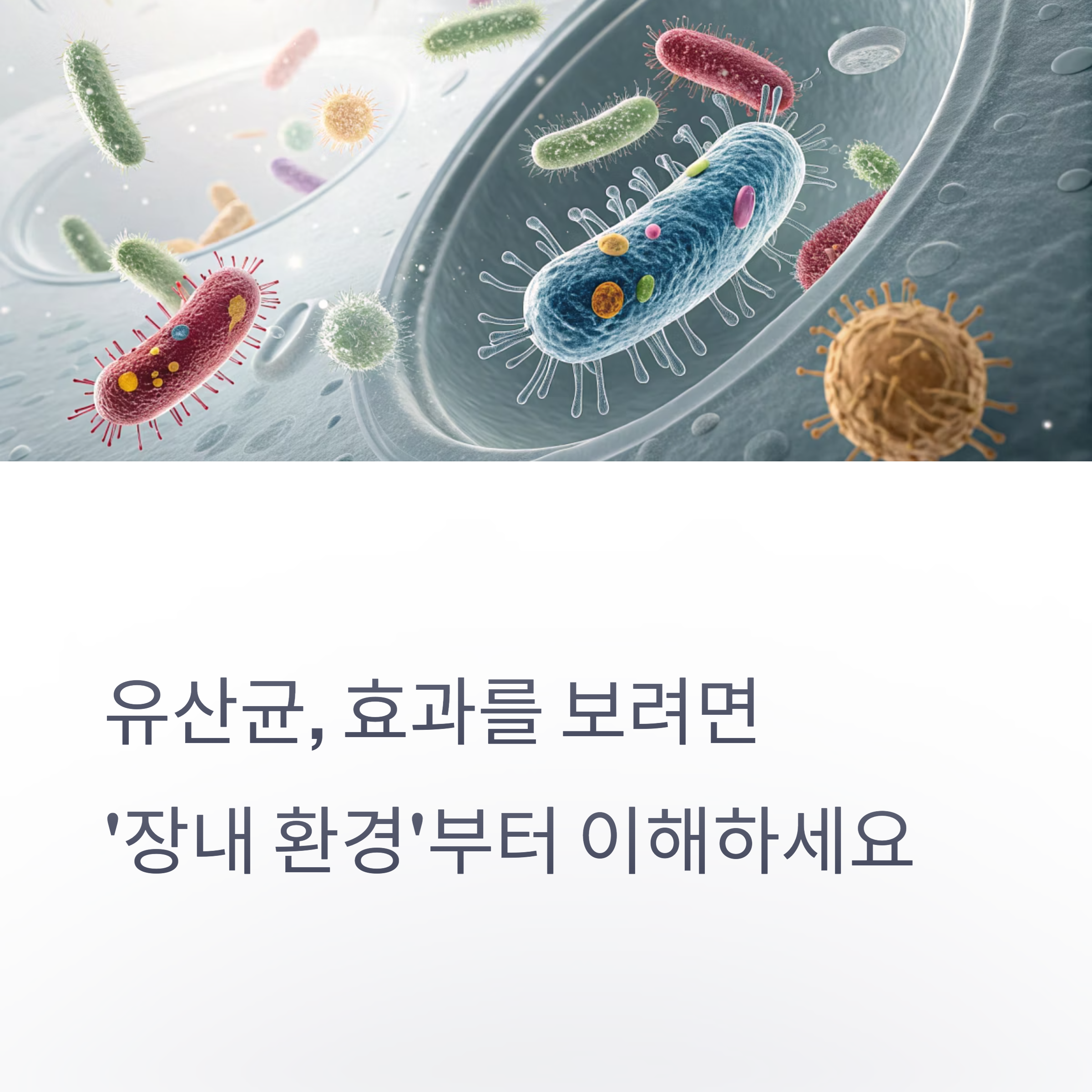 유산균,효과를 보려면 장내 환경부터 이해하세요