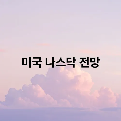 미국 나스닥 전망