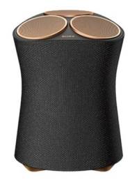 소니 디퓨저 스피커 SRS-RA5000, SRS-RA5000/MKR2