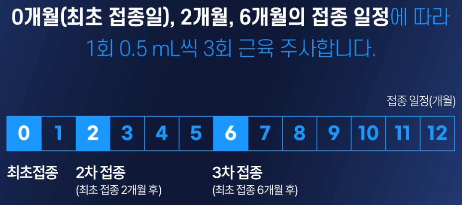 가다실9 접종 간격(3회 접종)