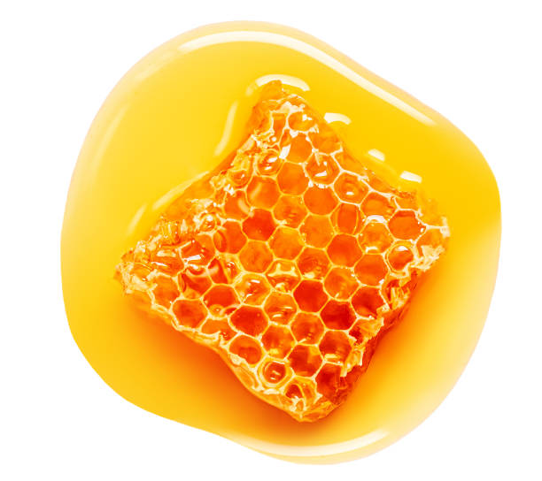 beeswax alcohols
