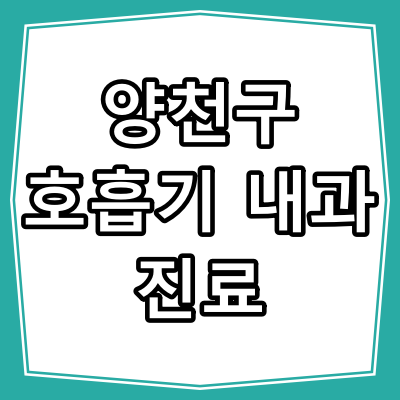 서울시 양천구 호흡기 내과 진료 잘 하는 병원