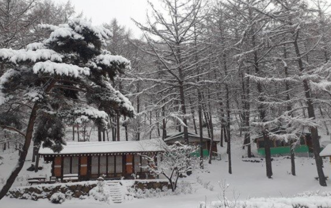 설매재자연휴양림