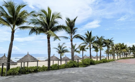 미케비치 (My Khe Beach)