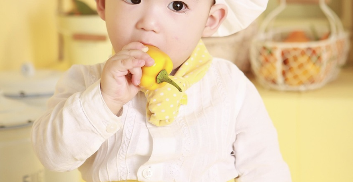 아기 건강 이유식 사진