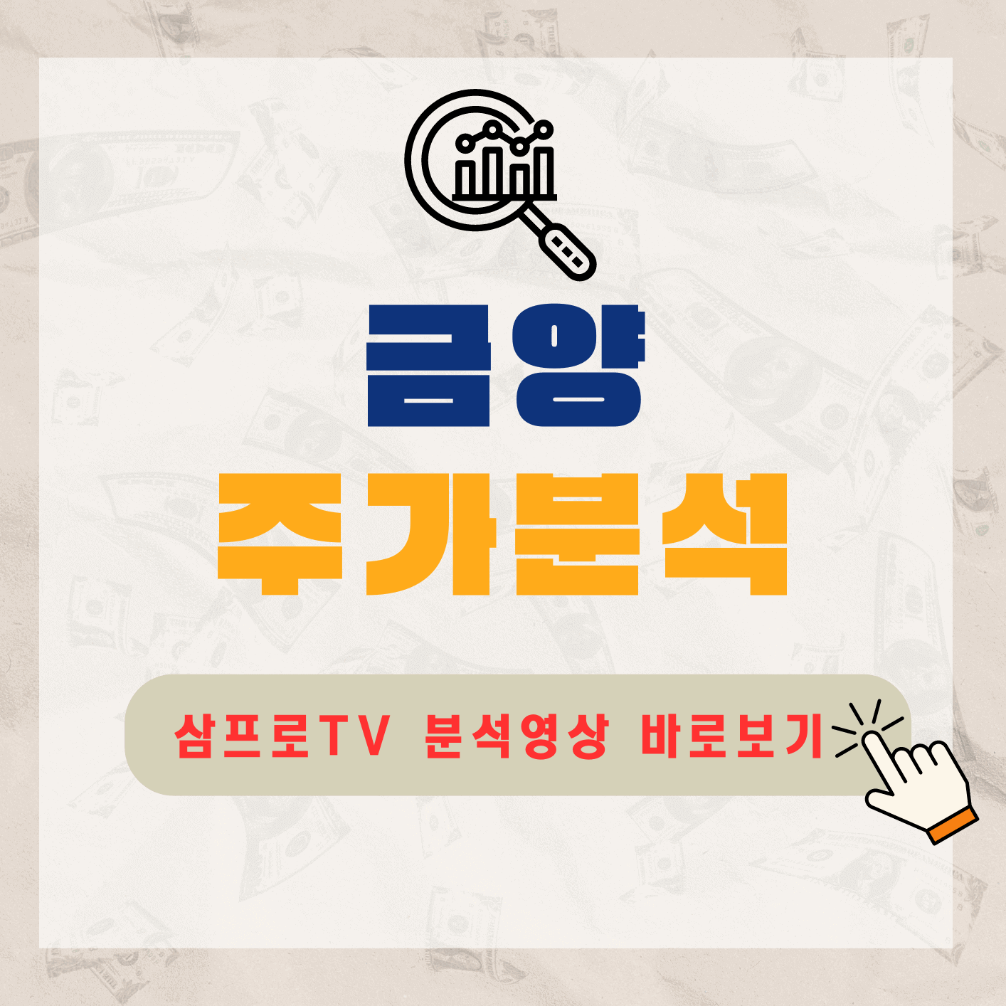 금양-주가-전망-배당금-알아보기