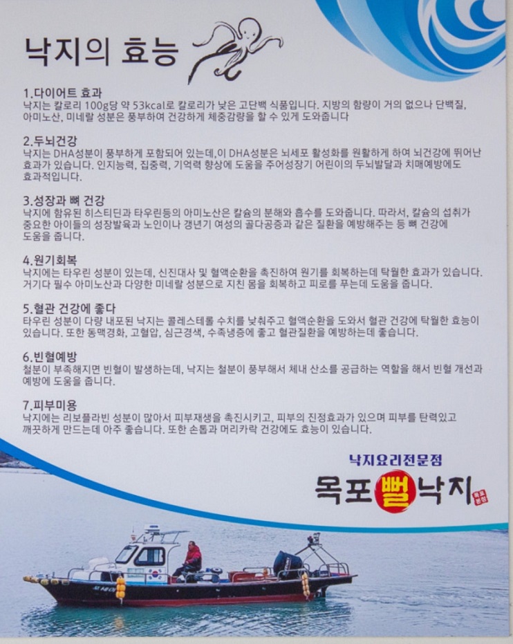 목포-낙지-효능