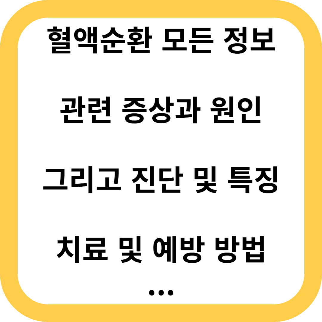 혈액순환