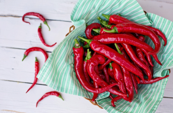 매운맛 마니아들을 위한 특급 고추 활용 요리