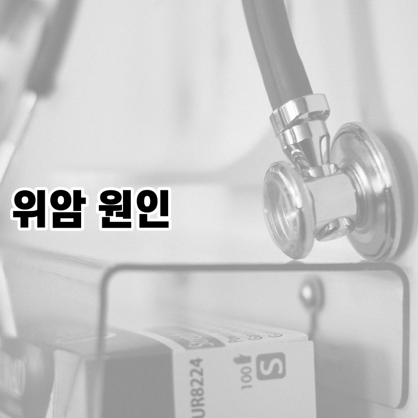 위암 원인