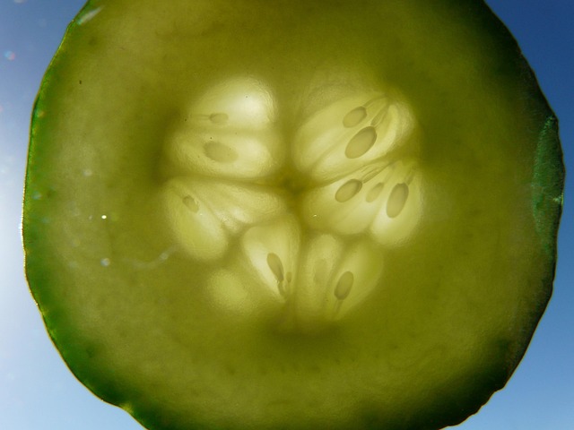 오이지 담그는 방법