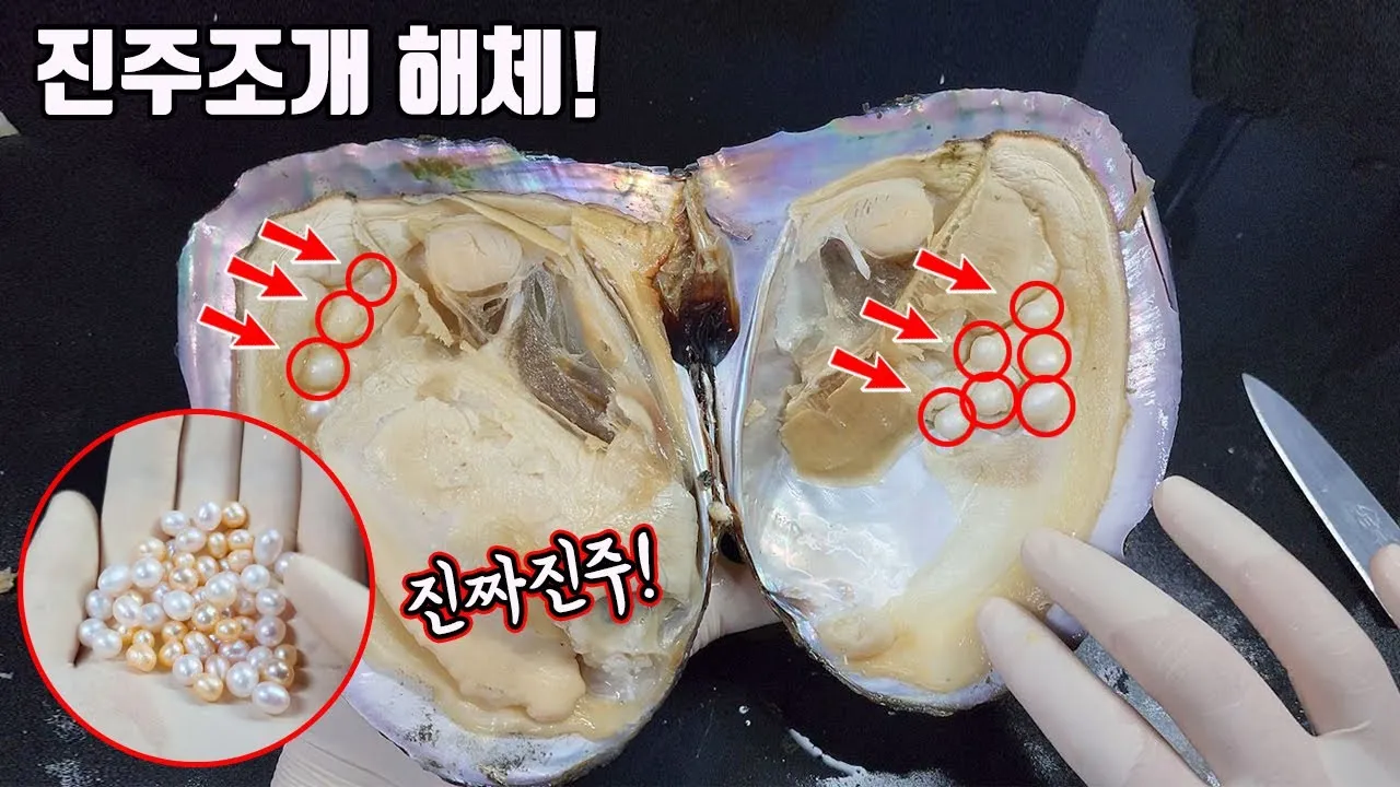 진주 가볼만한곳 베스트10 여행 당일치기 관광명소_1