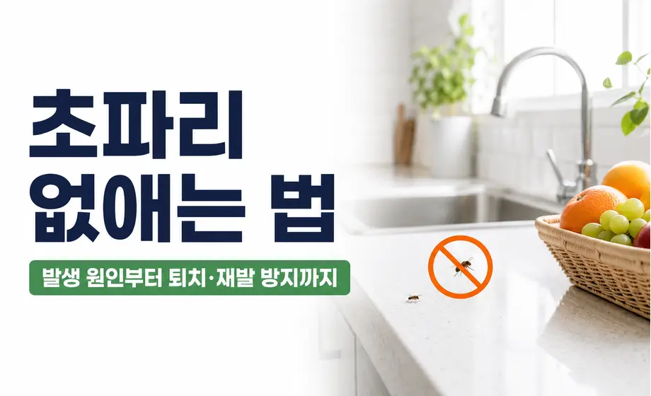 주방 싱크대와 과일 주변 초파리를 제거하는 방법 안내