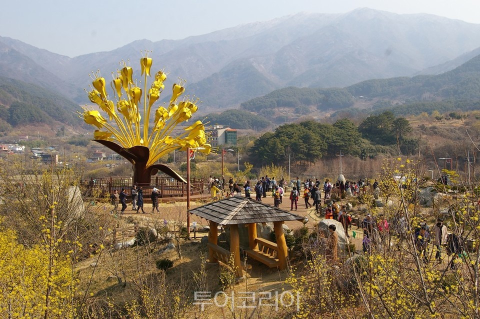 산수유꽃축제