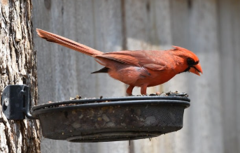카톡 친구추가하는법 간단 요약 14
