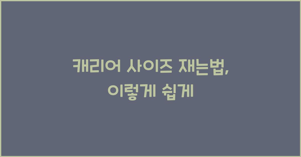 캐리어 사이즈 재는법